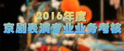 人与兽另类性XXBB国家京剧院2016年度京剧表演专业业务考...